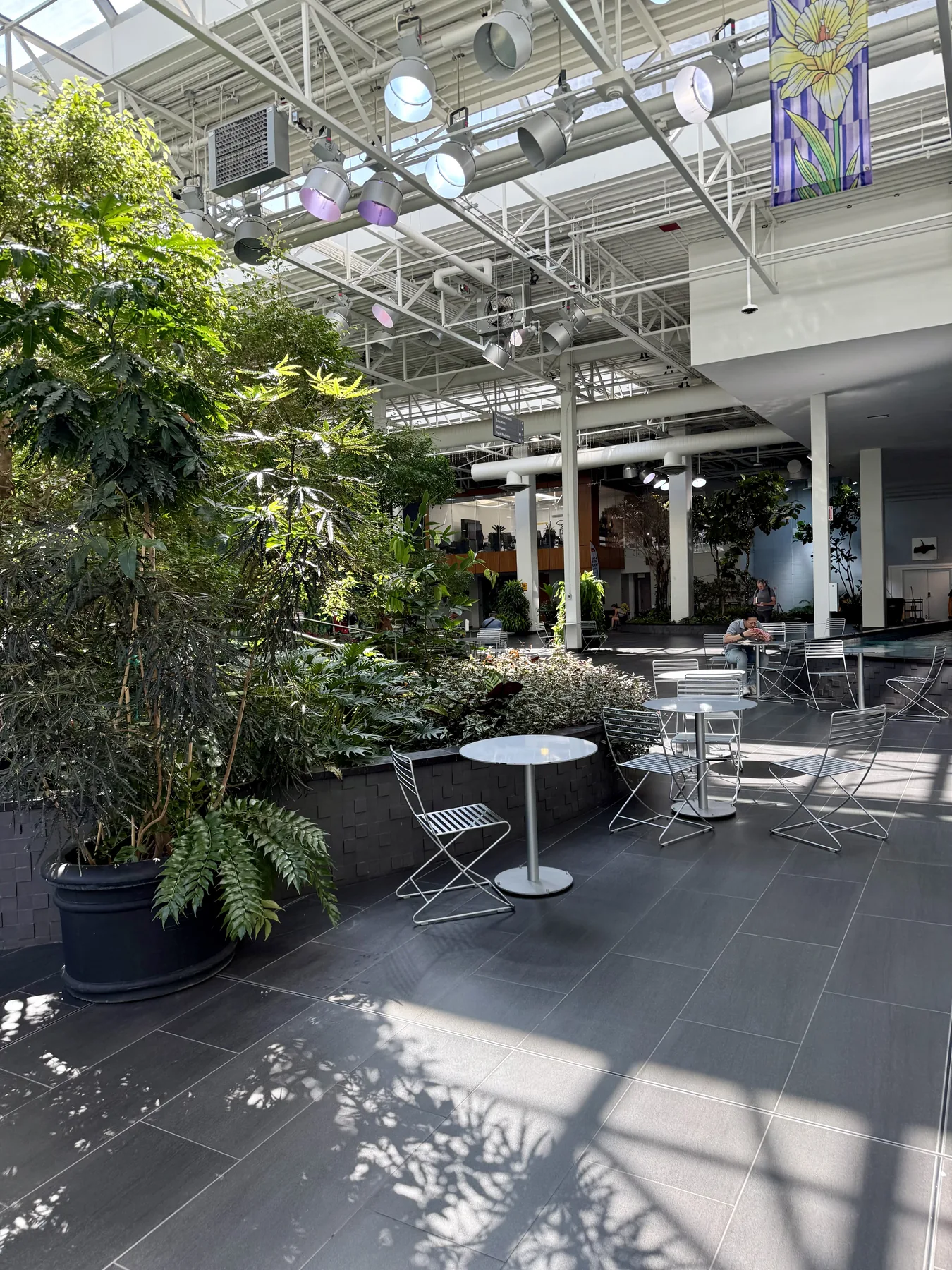 Plants and public seating inside Devonian Gardens